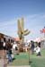 Quartzsite Swapmeet