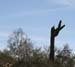 The Hand of the Desert Beckons Us