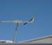 Roadrunner Visitor