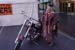 My Biker Chick